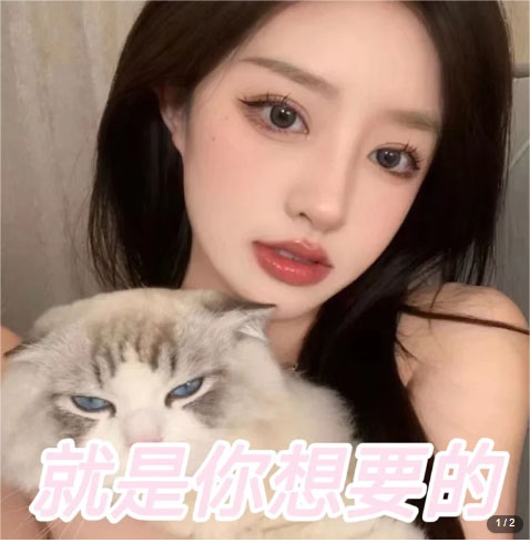 165516drzhpyi2y9p1hgnn.jpg
