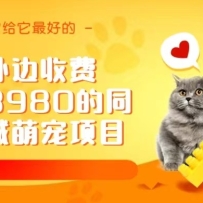 ����շ�3980��ͬ���ȳ���Ŀ���������ŵ��淨��������ŵ��г�