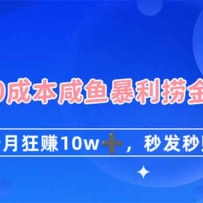0�ɱ����㱩���̽�1���¿�׬10W+���뷢��׬���淨