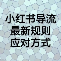 С���鵼�����¹���Ӧ�Է�ʽ���¹��Ժ�Ŀǰ�����õ�������ʽ���