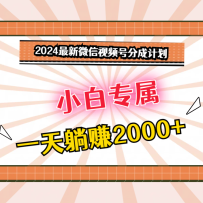 2024����΢����Ƶ�ŷֳɼƻ����������Ѻã�һ����׬2000+