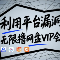 ����ƽ̨©��������ߣ����VIP��Ա���û��ײ���Ч����©��ԭ��+������ʾ��