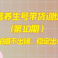 ���������Ŵ���ѵ��Ӫ(��10�ڣ��������㲻�������ȶ�����