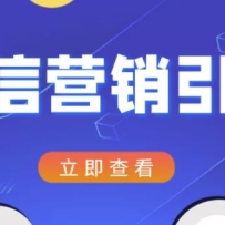 ΢��Ӫ���߻�����ϵ�пγ̣�ÿ������100��׼��