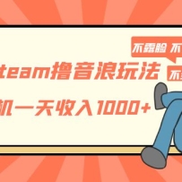 ����Steamߣ�����淨 �һ�һ������1000+��¶�� ��˵�� ����� �����Ⱥ����