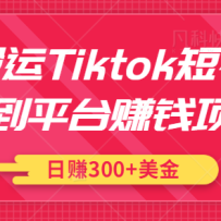 ����Tiktok����Ƶ��ƽ̨׬Ǯ��Ŀ�����ֿɲ�������׬300������Ƶ�̡̳�
