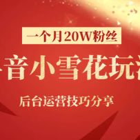 ����С����Сѩ���º�һ����20W��˿�淨����̨��Ӫ���ɷ���