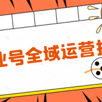 ��ҵ��ȫ����Ӫָ�ϣ���λ�����컯���� �������� װ�� �Ź� �û���������