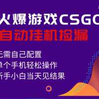 ����ϷCSGOȫ�Զ���©�����������淨�������ֻ��ɲ���������С������500+
