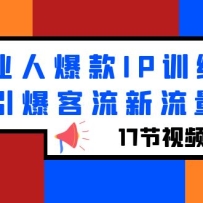 ��ҵ�˱���IPѵ��Ӫ������������������17����Ƶ�Σ�