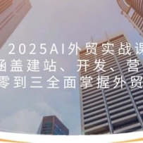 2025AI��óʵս�Σ����ǽ�վ��������Ӫ��, ���㵽��ȫ��������ó����