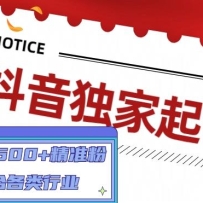 ����������ţ�һ������500+��׼�ۣ��ʺϸ�����ҵ��9����Ƶ�Σ�