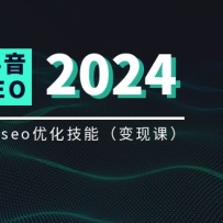 ʵ�嶶������������SEO�����ֿΣ�����Ƶ����seo�Ż����ܣ�8����Ƶ�Σ�