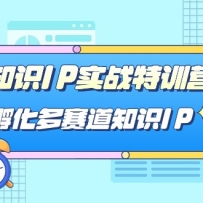 ֪ʶIPʵս��ѵӪ������������֪ʶIP��33�ڿΣ�