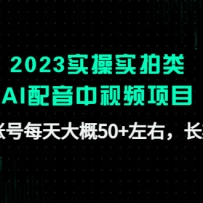 2023ʵ��ʵ����AI��������Ƶ��Ŀ��һ���˺�ÿ����50+���ң������ȶ�