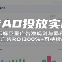 ����ADͶ��ʵս�Σ���Ȳ��������Ǳ�����뱩��������ʵ�ֹ��ROI300%+��