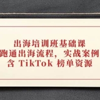 ������ѵ������Σ�������ͨ�������̣�ʵս������⣬�� TikTok ����Դ