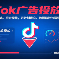 TikTok���Ͷ��ʵս����Ͷ��ģʽ����̨���������ƻ����������ݼ����ָ���