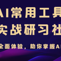 AI���ù���ʵս��ϰ�磬һ��ȫ�����飬��������AI����