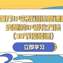����IPʵսѵ��Ӫ�γ̣�������IP����������35����Ƶ�Σ�