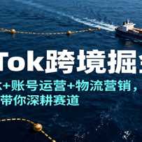 TikTok�羳���Σ����ĸ���+�˺���Ӫ+����Ӫ����ͷ�����������������
