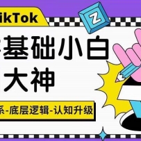 TikTok�ײ��߼�������Ƶ��Ӫ����ϵ�пΣ���Ӫ��ϵ���ײ��߼�����֪����
