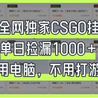 ��ȫ������CSGO�һ������ռ�©1000+�����õ��ԣ���������