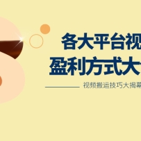 ���ð��˶����ڸ������Ƶƽ̨������棬����ƽ̨��Ƶӯ����ʽ��ϼ�