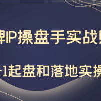 �붮����Ӫ��Ʒ��IP������ʵս׬Ǯ��0-1���̺����ʵ�٣���ֵ199Ԫ��