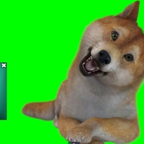 ʵʱֱ��������ͨ�����������ͨ�����沿��׽(�������̳�)