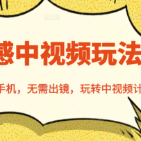�������Ƶ�淨��һ���ֻ��������������ת����Ƶ�ƻ�