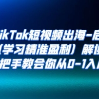 ����TikTok����Ƶ����-����Ӫ��ѧϰ��׼ӯ����������ְ��ֽ̻����0-1���