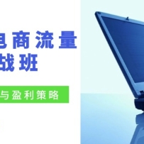 ��������ʵս�ࣺ�޽������ӯ�����ԣ��ռ�����/�ؼ����Ż�/��׼��Ⱥ��չ/