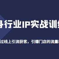 ������ҵIPʵսѵ��Ӫ������ͨ������������ͣ������ŵ��������ҵ��