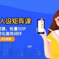 ����IP�������Σ�ABC�Ŵ������SOP��˽��ת����Ч�ջ�