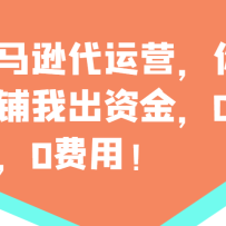 ����ѷ����Ӫ����������ҳ��ʽ�0Ͷ�룬0���ã�������ÿ��300�ֺ죬Ӯ��
