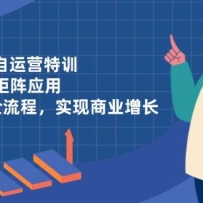 ʵ���ϰ�����Ӫ��ѵ��AI����Ƶ����Ӧ�ã�0-1���ȫ���̣�ʵ����ҵ����
