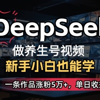 DeepSeek+����Ai����������Ƶ��5����һ�������������������300+