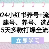 2024С��������+�����Σ����š����š�ѡƷ��5�����ȫ����