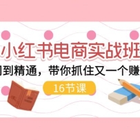 С�������ʵս�࣬�����ŵ���ͨ������ץס��һ��׬Ǯ��ڣ�17�ڣ�