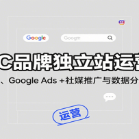 DTCƷ�ƶ���վ��Ӫ�Σ���վ�Ż���Google Ads + ��ý�ƹ������ݷ���ȫ����