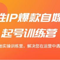 Ů��IP������ý�����ѵ��Ӫ 14�����ʵ��ѵ��Ӫ�����������Ӫ����������