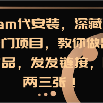 steam����װ����ز�©��������Ŀ����������������Ʒ���������ӣ���������