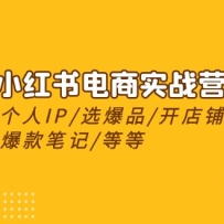 2024С�������ʵսӪ�����Ŵ���IP/ѡ��Ʒ/������/����ʼ�/�ȵȣ�24�ڣ�