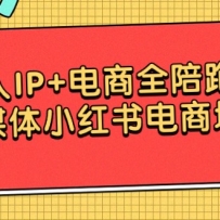 ����IP+����ȫ����Ӫ����ý��С���������ѵ
