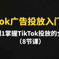 TikTok���Ͷ�����Ž̳̣���0��1����TikTokͶ�ŵ�ȫ���̣�8�ڿΣ�