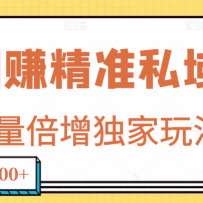 ��׬��׼˽������60000+��Ŀ,�������������淨