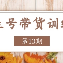 �����Ŵ���ѵ��Ӫ����13�ڡ�������ȶ����淨������������汬ը