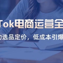 TikTok������Ӫȫ���ԣ���������ѡƷ���ۣ��ͳɱ�������������