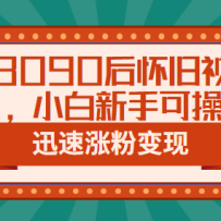����8090�󻳾���Ƶ�淨��С�����ֿɲ�����Ѹ���Ƿ۱��֣��̳�+�زģ�